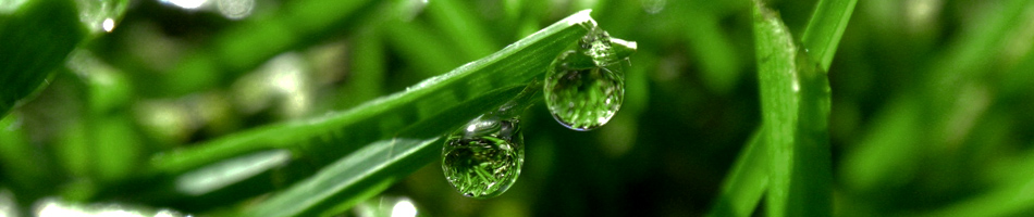 Blog formation eco construction Init Environnement